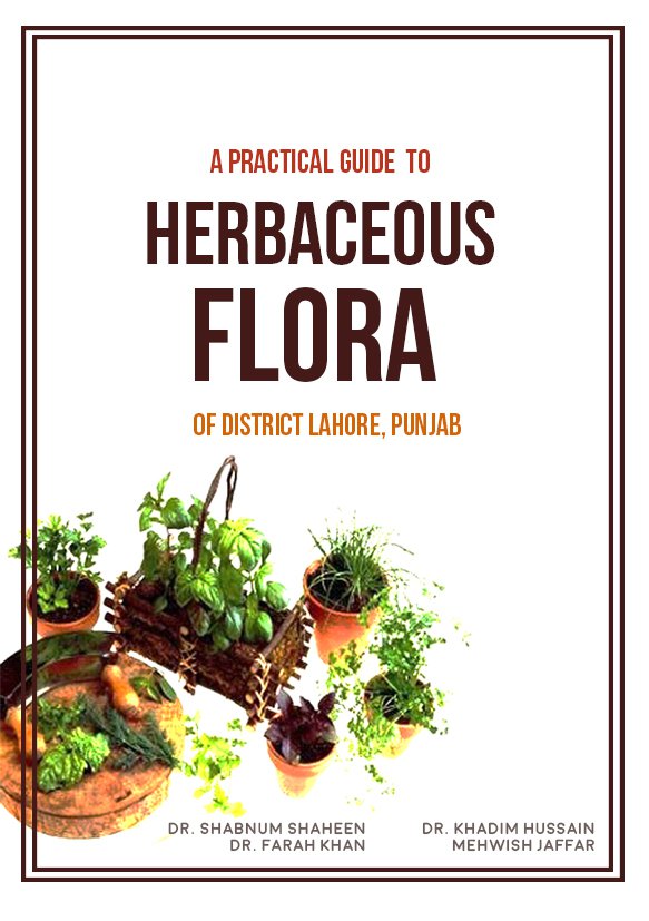 A Practical Guide  To Herbaceous Flora  Of District Lahore, Punjab