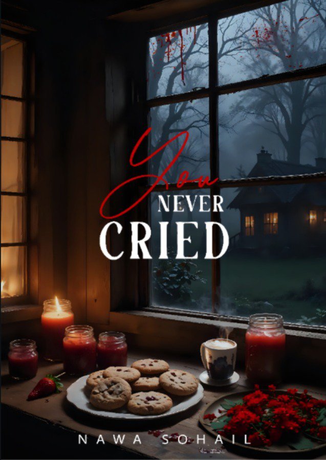 Cover of You Never Cried